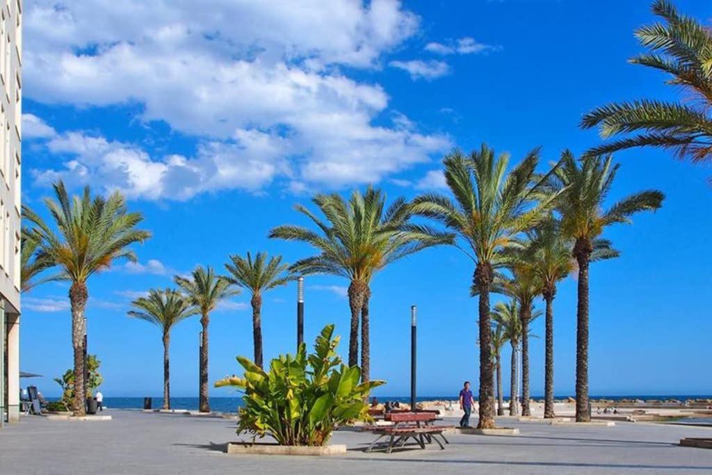 Estudio Junto Al Mar La Mata  Zewnętrze zdjęcie